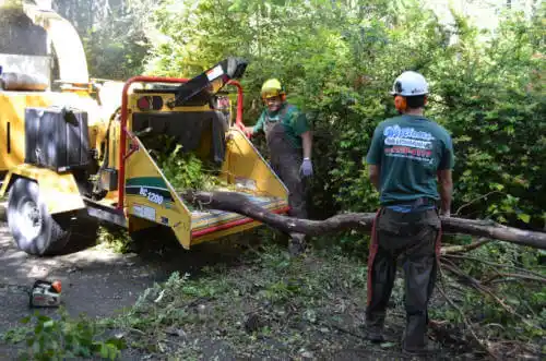 tree services Sunol